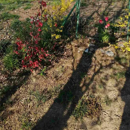 Zlatne Rudine-zlatibor Appartement Zlatibor