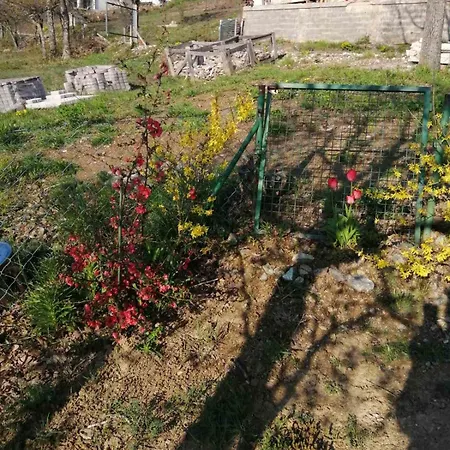 Zlatne Rudine-zlatibor Zlatibor